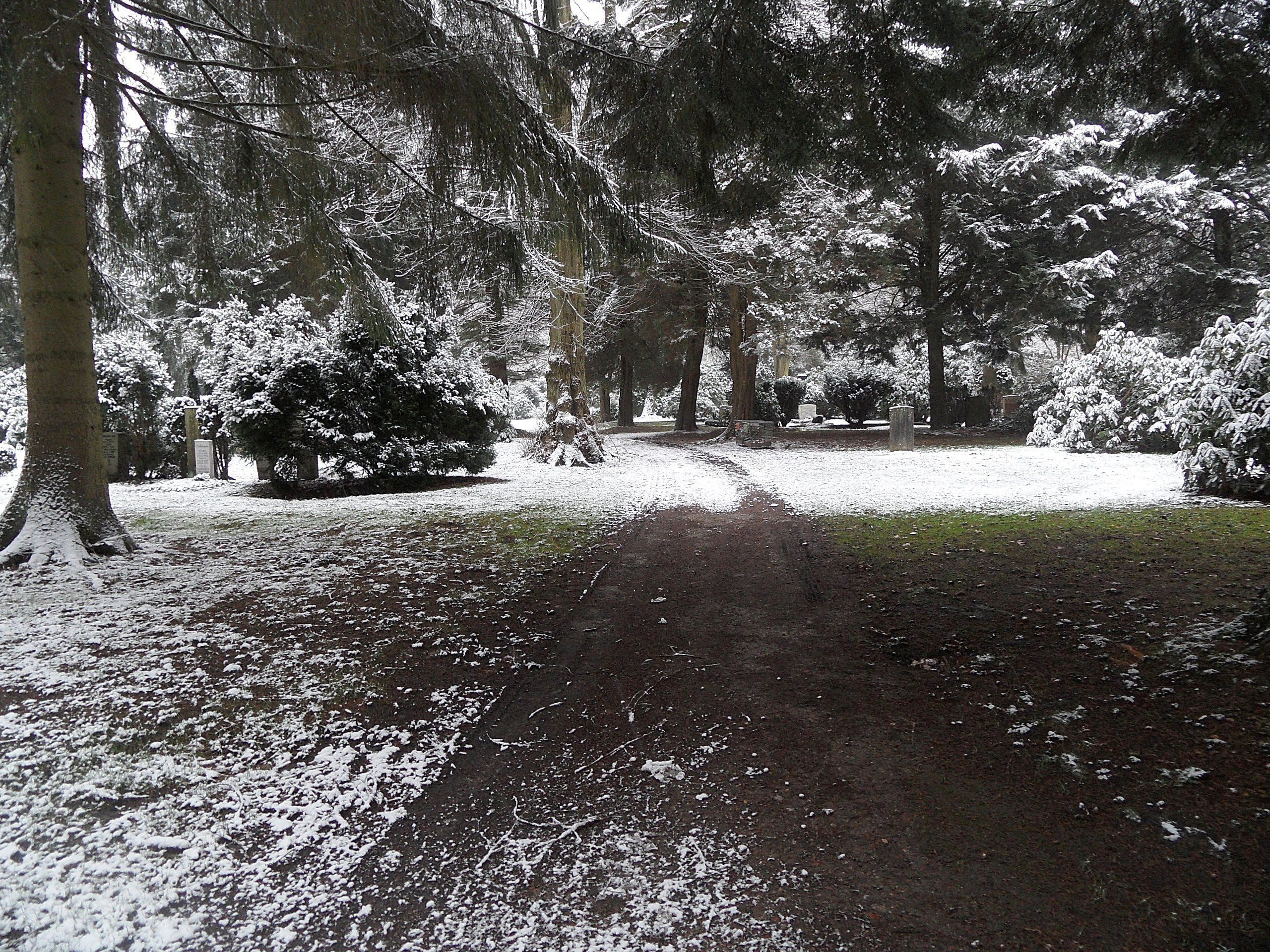 Verschneite Parklandschaft im westlichen Friedhof Ohlsdorf